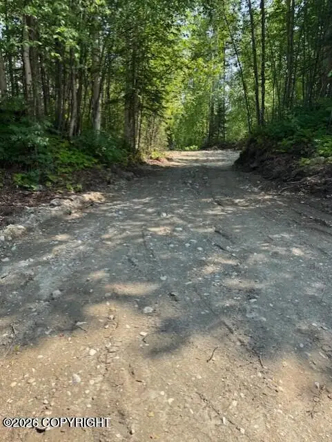 39578 & 39 S Malaspina Loop, Talkeetna, AK 99676 - #2