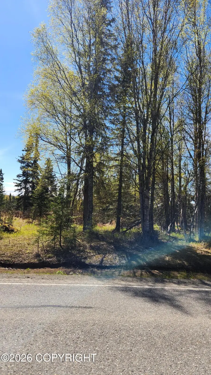 45650 Miller Loop Road, Salamatof, AK 99635 - #2
