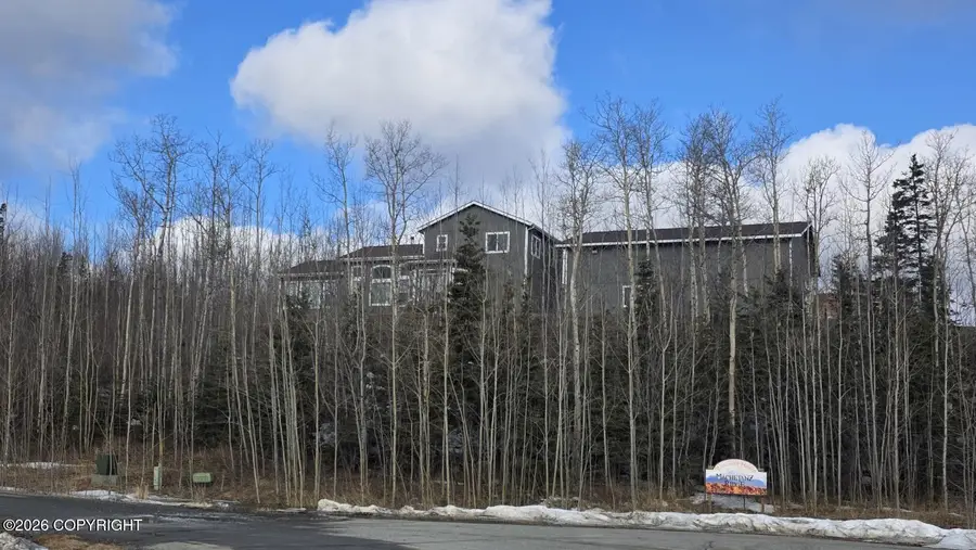 703 S Tundra Flower Circle, Palmer, AK 99645 - #3