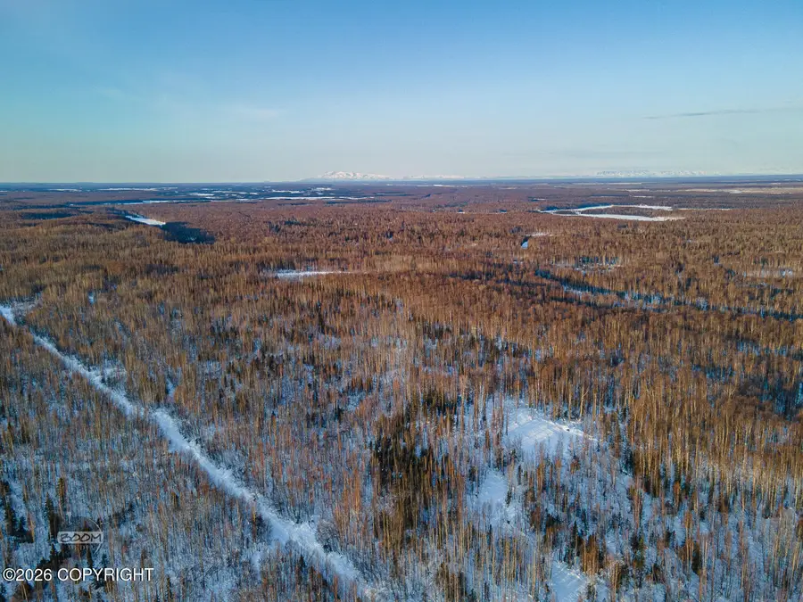 NHN E Ridge Lane, Willow, AK 99688 - #3