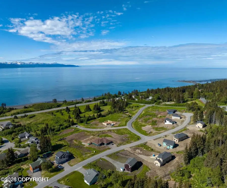 1019 Lillian Drive, Homer, AK 99603 - #3