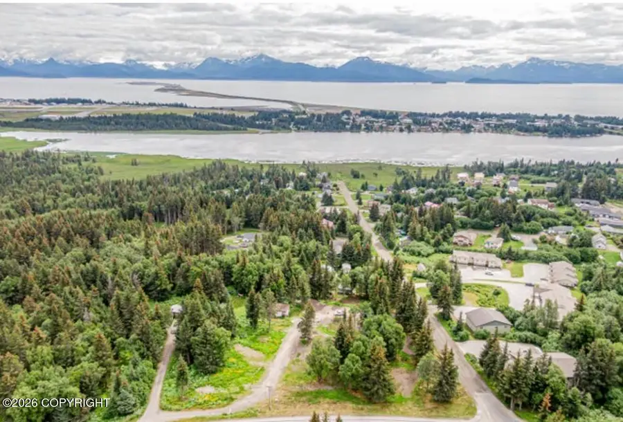 4178 Mattox Road, Homer, AK 99603 - #3