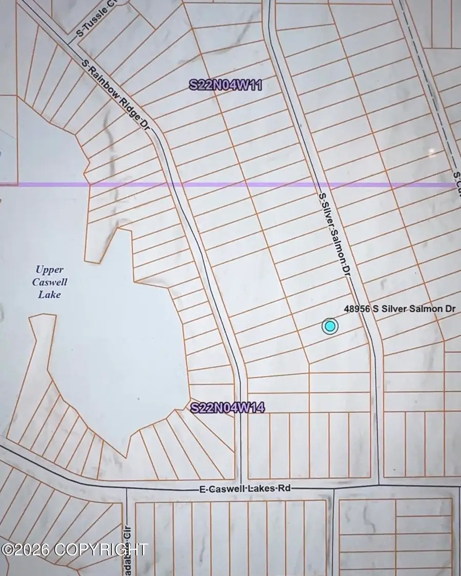 48956 S Silver Salmon Drive, Willow, AK 99688 - #3