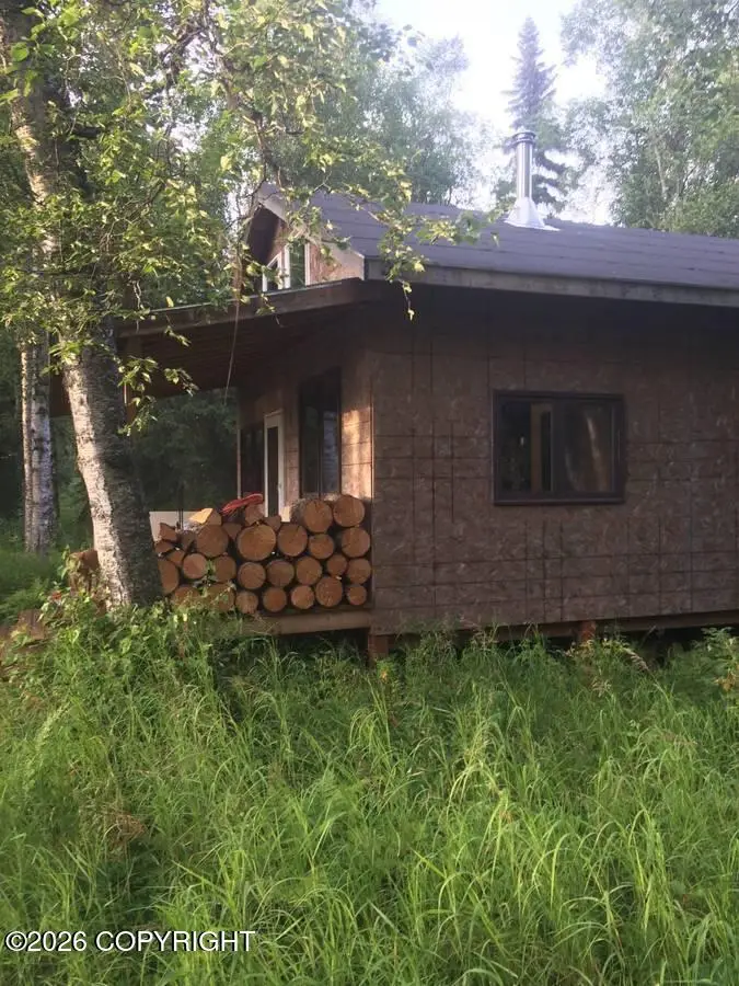 Tr E-2 Big Bend, Willow, AK 99667 - #2