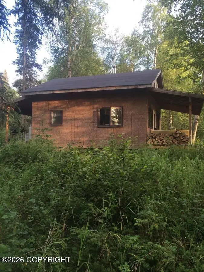 Tr E-2 Big Bend, Willow, AK 99667 - #3