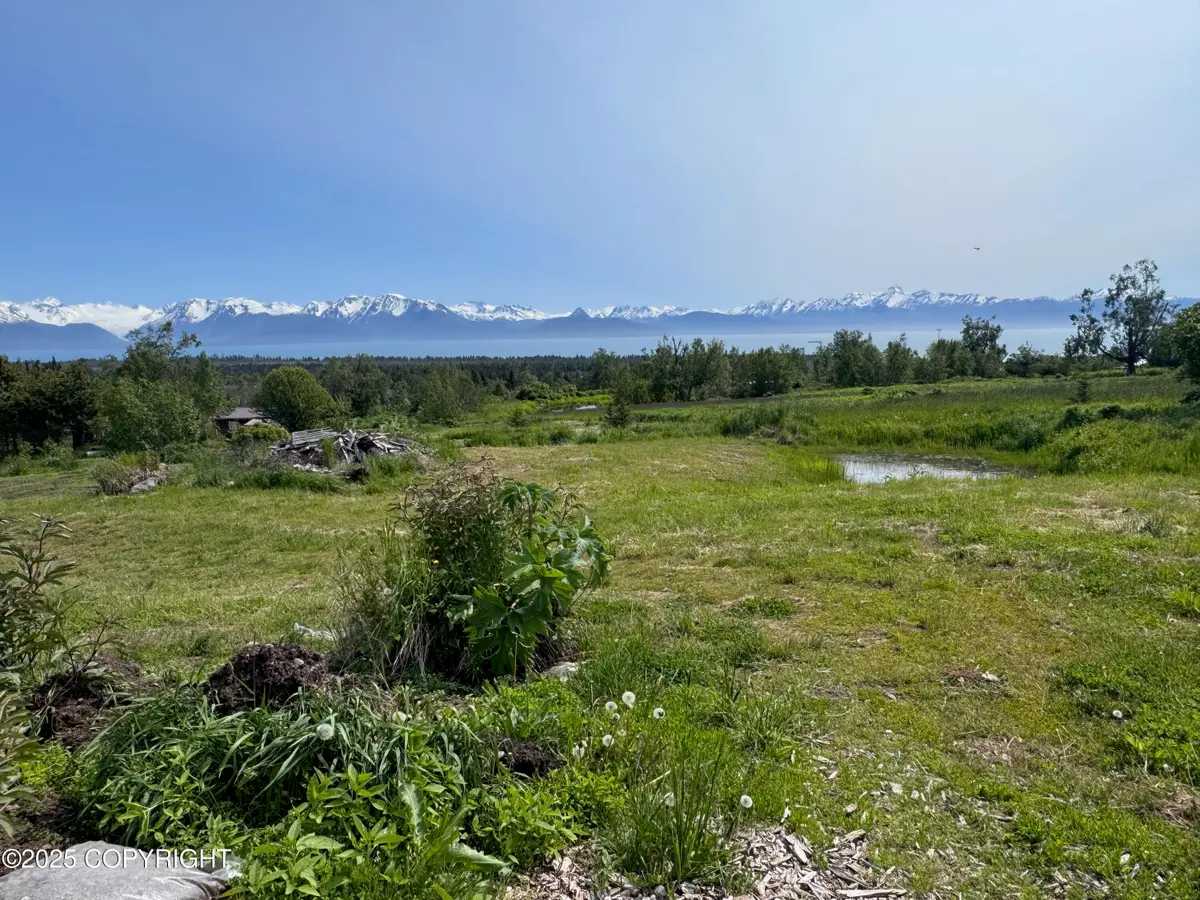 L2 Sibson Drive, Homer, AK 99603 - #1