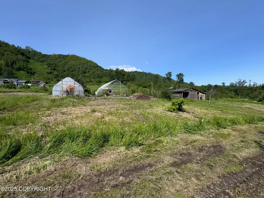 L2 Sibson Drive, Homer, AK 99603 - #3
