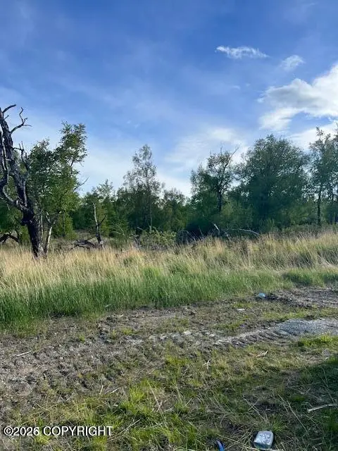 L4 B7 E Blue Atlas Circle, Palmer, AK 99645