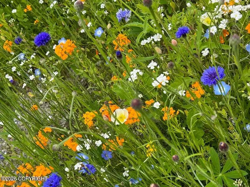 L8 B7 N Cedar Hills Drive, Palmer, AK 99645 - #2