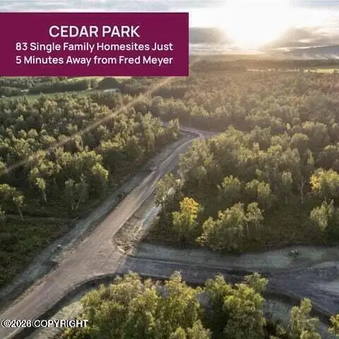 L8 B7 N Cedar Hills Drive, Palmer, AK 99645 - #3