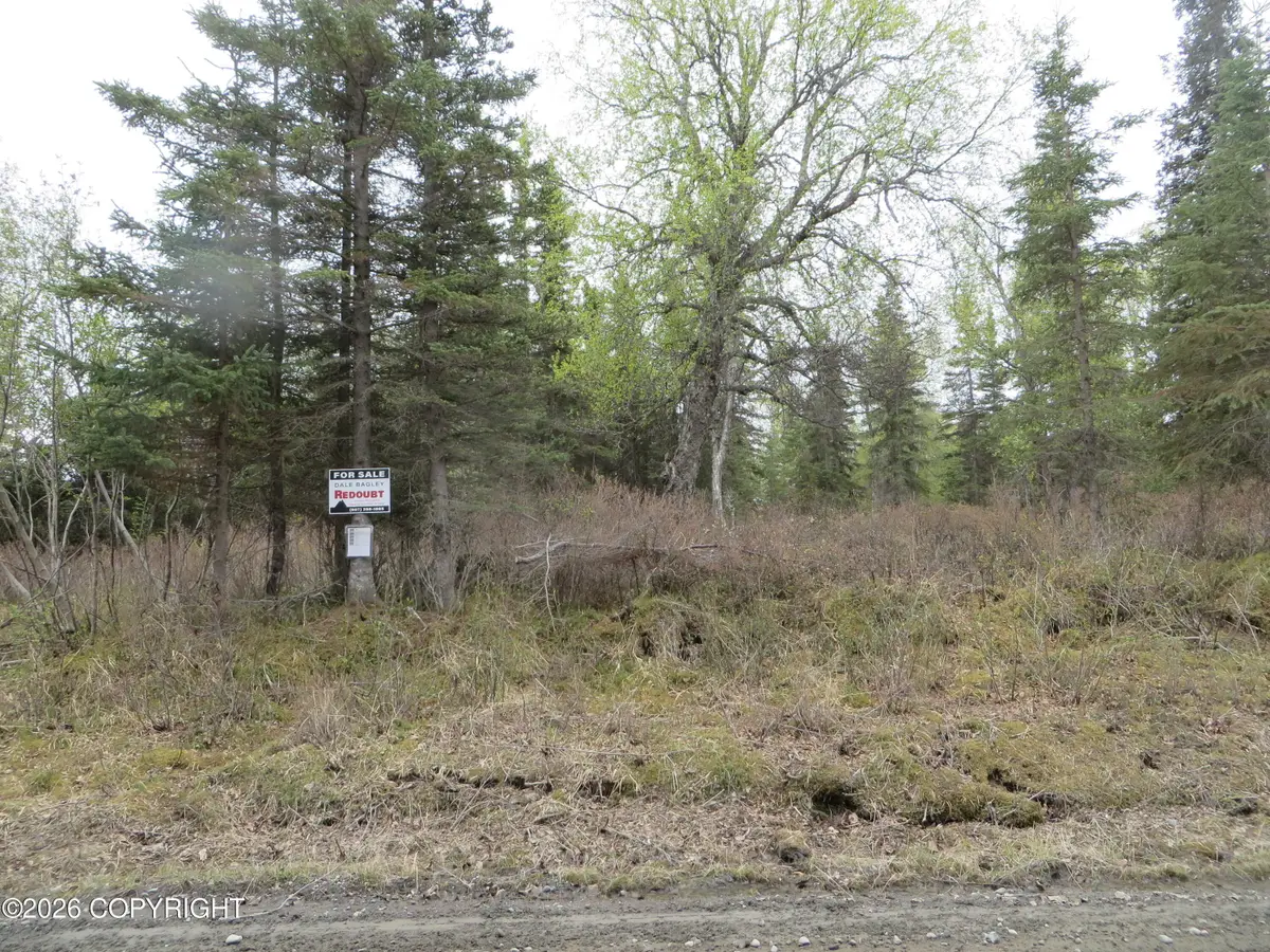 L2 Tolum Road, Kasilof, AK 99610 - #1