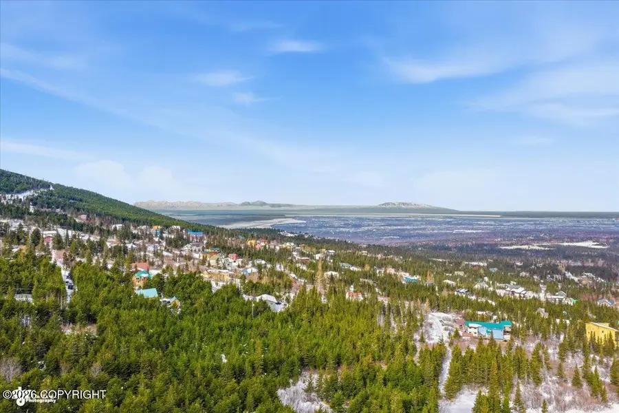 L5 B11H Rabbit Creek View Drive, Anchorage, AK 99516 - #3