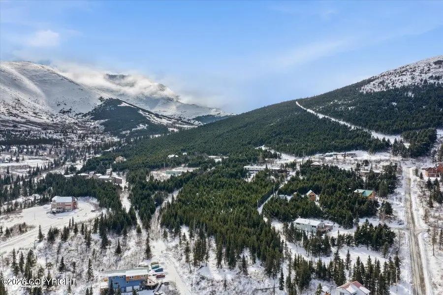 L3A B11H Rabbit Creek View Drive, Anchorage, AK 99516 - #3