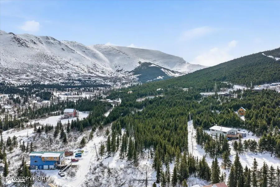 L2A B11H Rabbit Creek View Drive, Anchorage, AK 99516 - #2