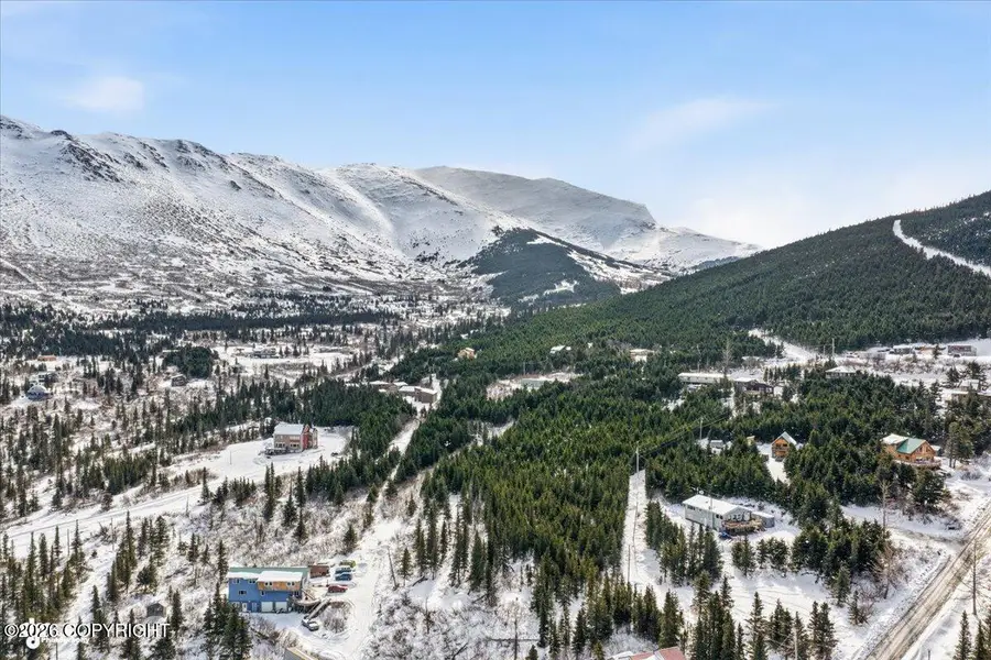 L2A B11H Rabbit Creek View Drive, Anchorage, AK 99516 - #3