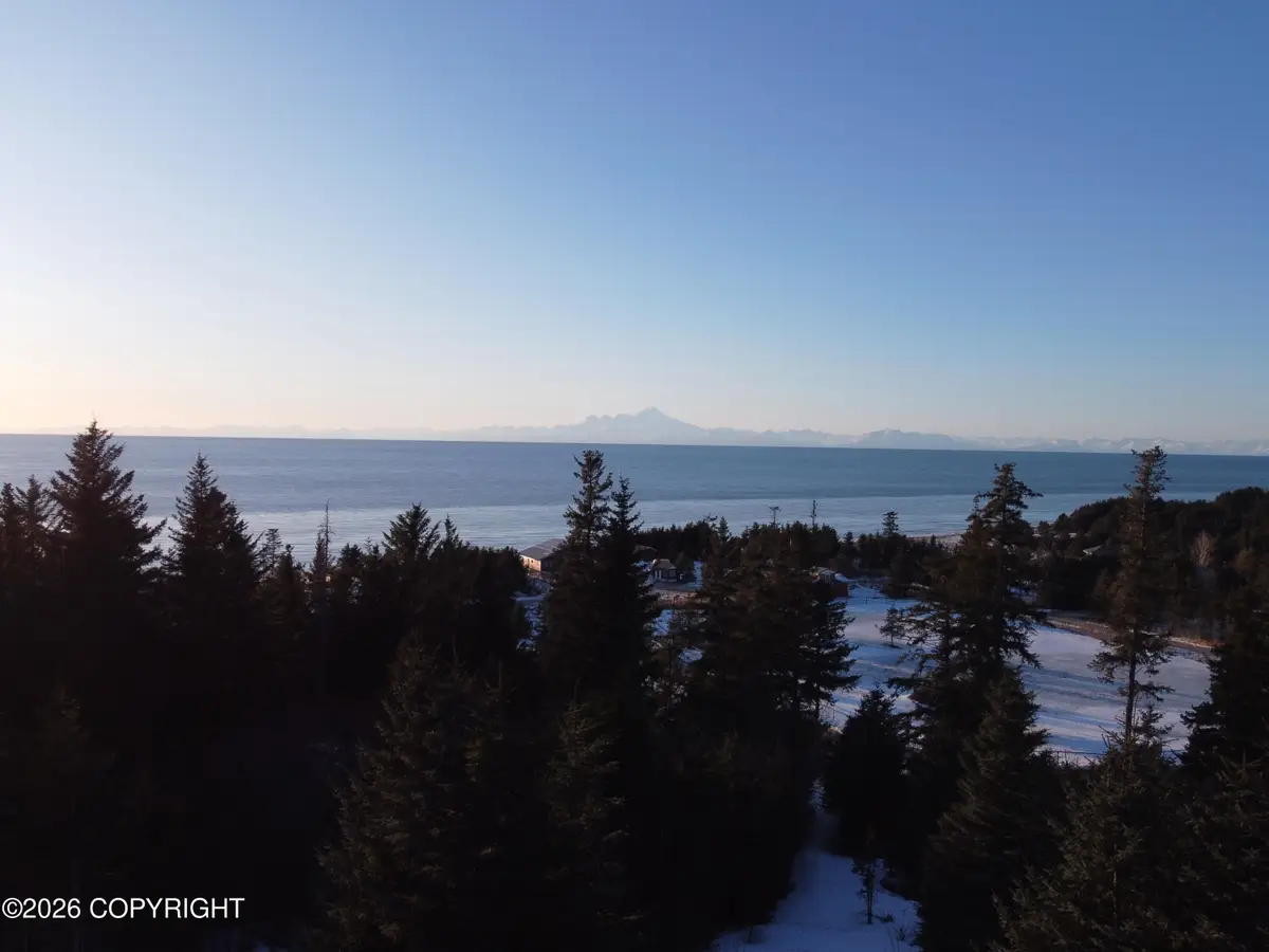35048 Spruce Vw Street, Anchor Point, AK 99556 - #1