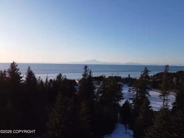 35048 Spruce Vw Street, Anchor Point, AK 99556