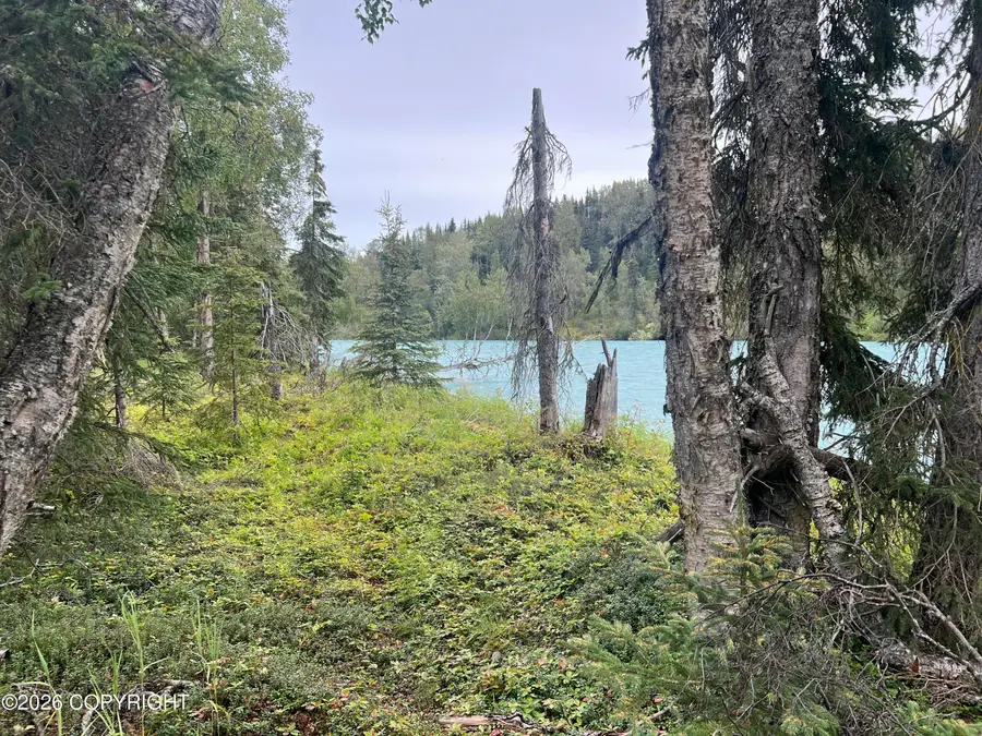 Tract C Jackie Ann Street, Kasilof, AK 99610 - Image #3