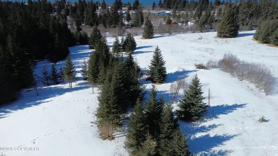 32185 Pacific Park Street, Anchor Point, AK 99556 - #3