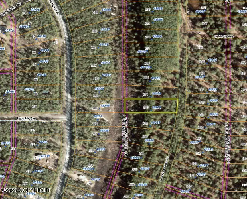 48214 S Dolly Varden Drive, Willow, AK 99688 - #1