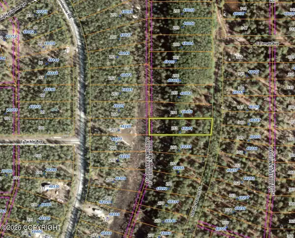 48214 S Dolly Varden Drive, Willow, AK 99688