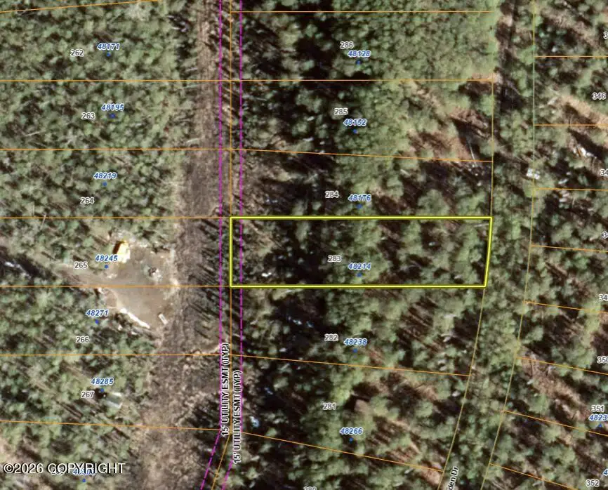 48214 S Dolly Varden Drive, Willow, AK 99688 - #2