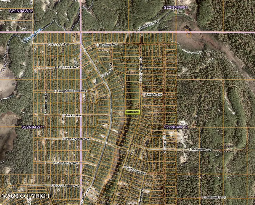 48214 S Dolly Varden Drive, Willow, AK 99688 - #3