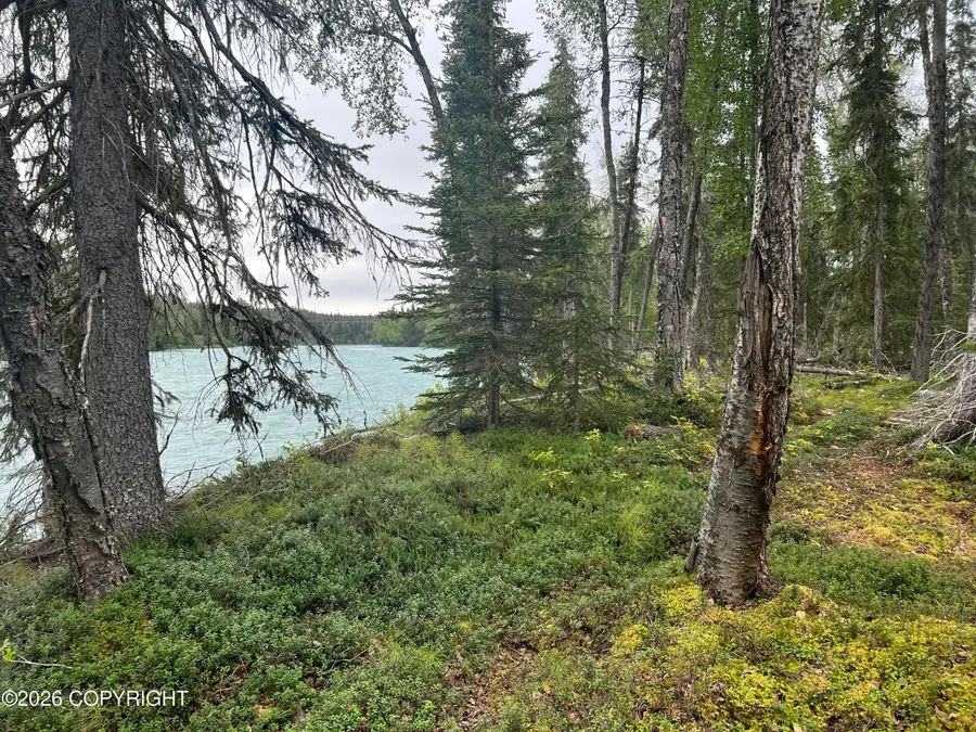 L2 Jackie Ann Street, Kasilof, AK 99610 - Image #3