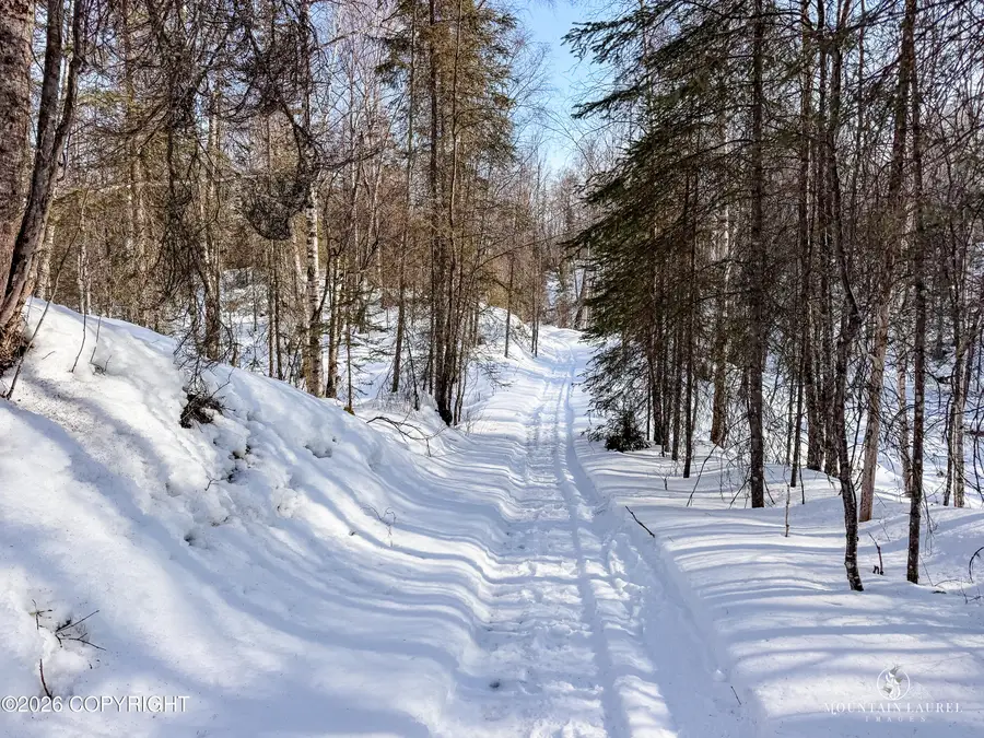 L8 B2 Parks Est, Big Lake, AK 99623 - #3