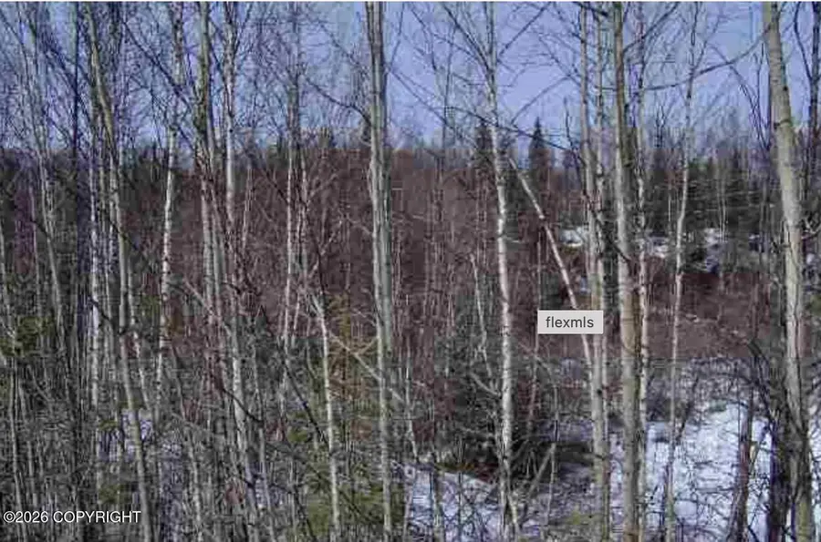33271 Talkeetna Spur Road, Talkeetna, AK 99676 - #2