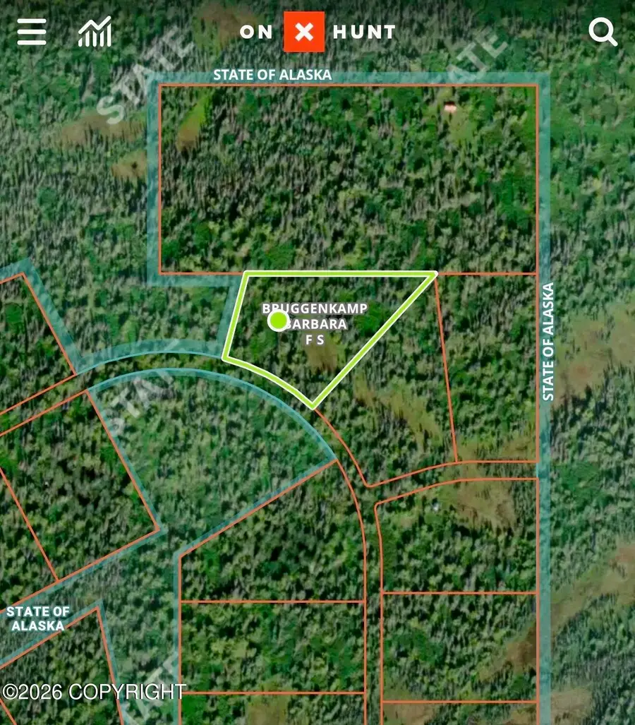 L3 B7 Bald Mnt Asls 80-176, Talkeetna, AK 99676 - #3