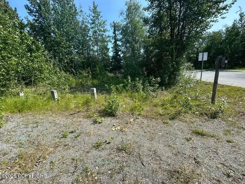 121 E Herning Avenue, Wasilla, AK 99654 - #3