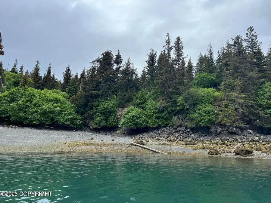 Tract 3 Peterson Bay, Homer, AK 99603 - #3