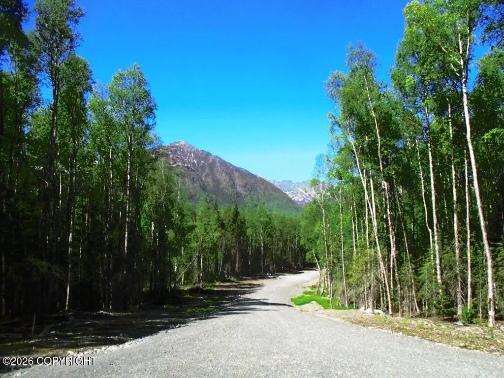 25075 Saxton Drive, Hope, AK 99605 - #1