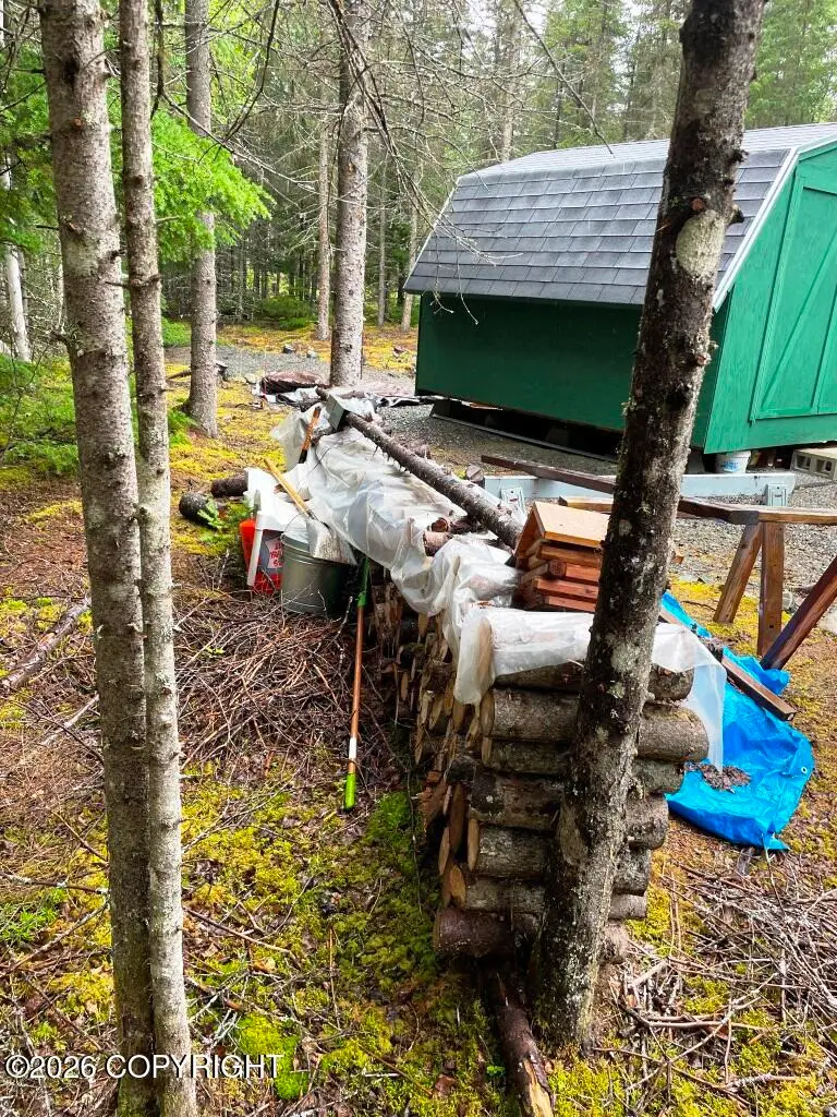 25075 Saxton Drive, Hope, AK 99605 - #3