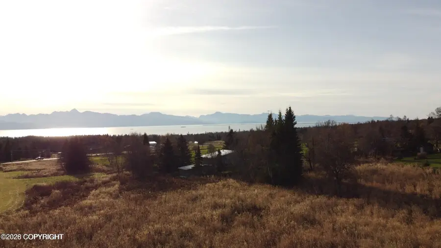 56911 Stormy Petrel Court, Homer, AK 99603 - #2