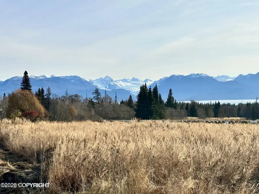 56911 Stormy Petrel Court, Homer, AK 99603 - #3