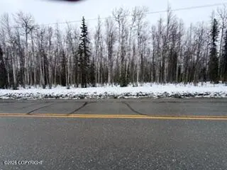 24986 W Long Lake Road, Willow, AK 99688 - #2