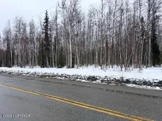 25010 W Long Lake Road, Willow, AK 99688