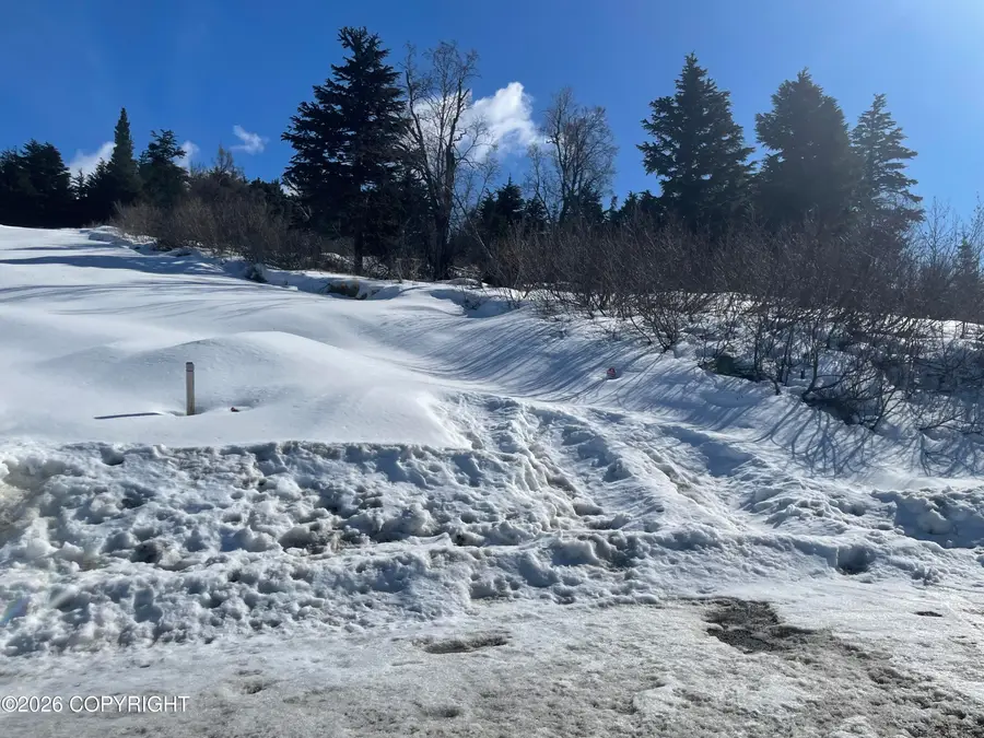 L22 Lost Horizon Drive, Anchorage, AK 99516 - #2