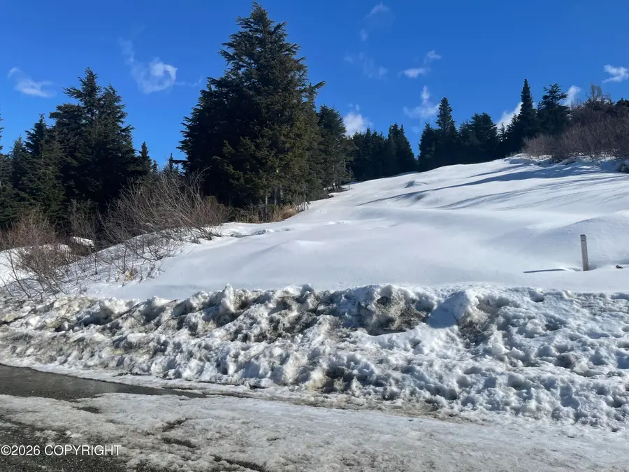 L22 Lost Horizon Drive, Anchorage, AK 99516 - #3
