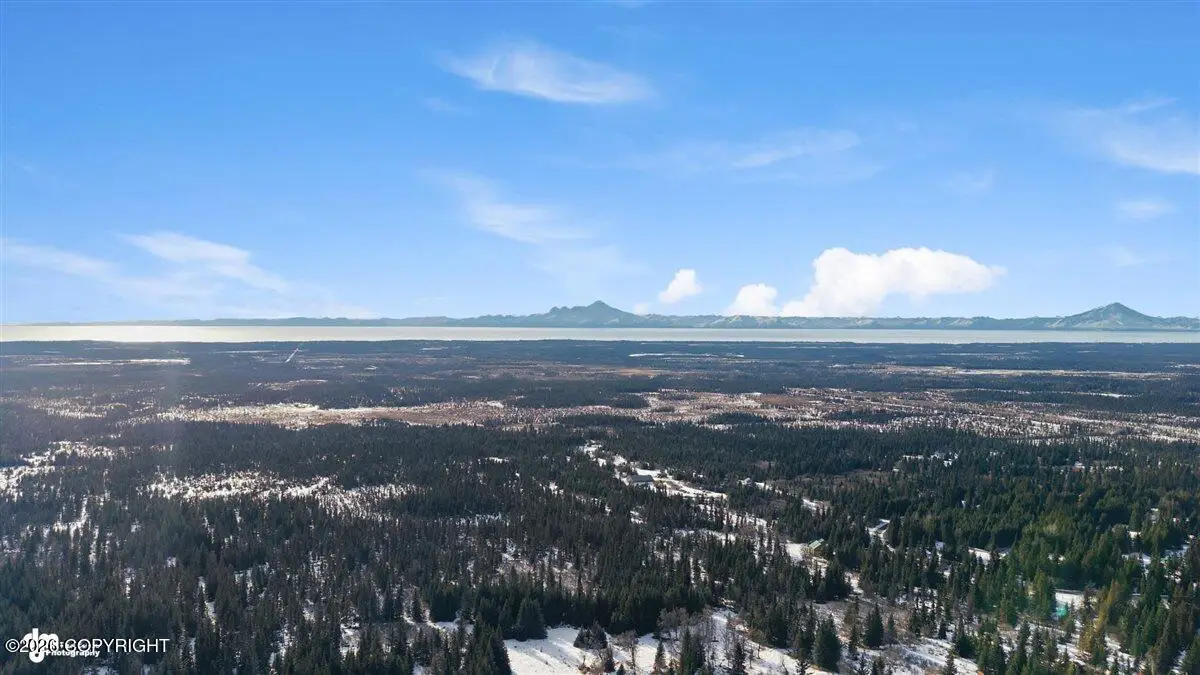 65135 Clyde Thomas Avenue, Anchor Point, AK 99556 - #1