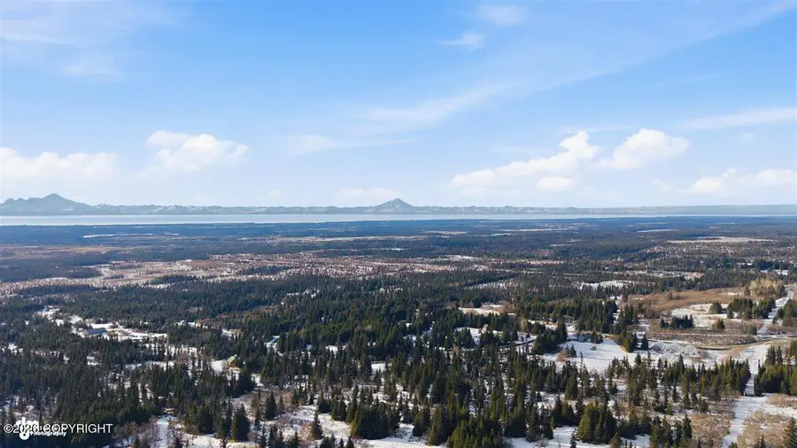 65135 Clyde Thomas Avenue, Anchor Point, AK 99556 - #2