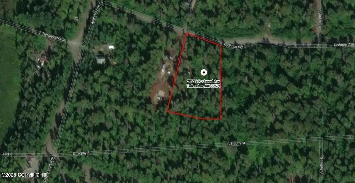 20528 E Rodnreel Avenue, Willow, AK 99688 - #1