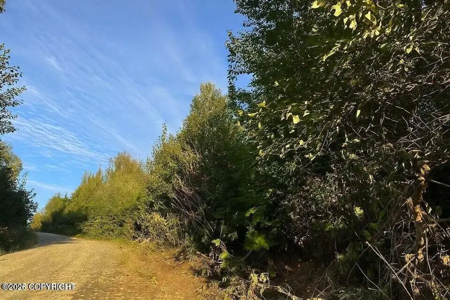 20528 E Rodnreel Avenue, Willow, AK 99688 - #2