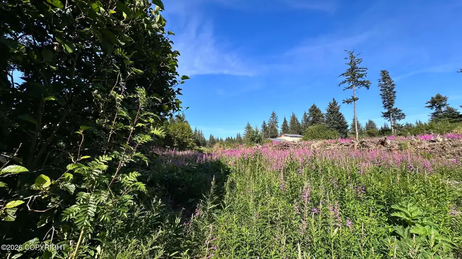 72278 Valleyside Avenue, Anchor Point, AK 99556 - #2