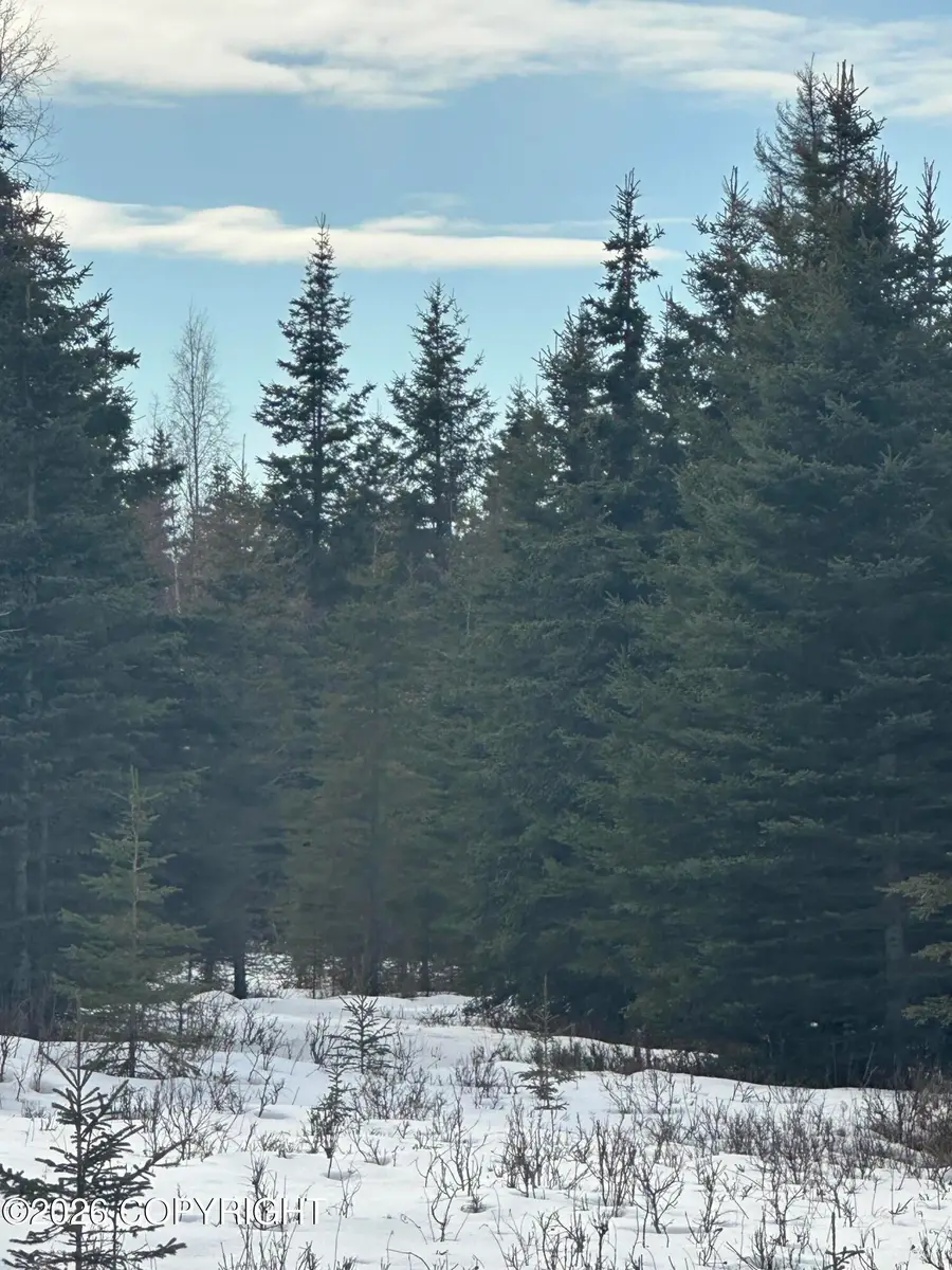 32343 Anushka Street, Soldotna, AK 99669 - #3