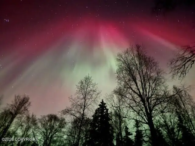 16120 Baden Lane, Willow, AK 99688 - #3