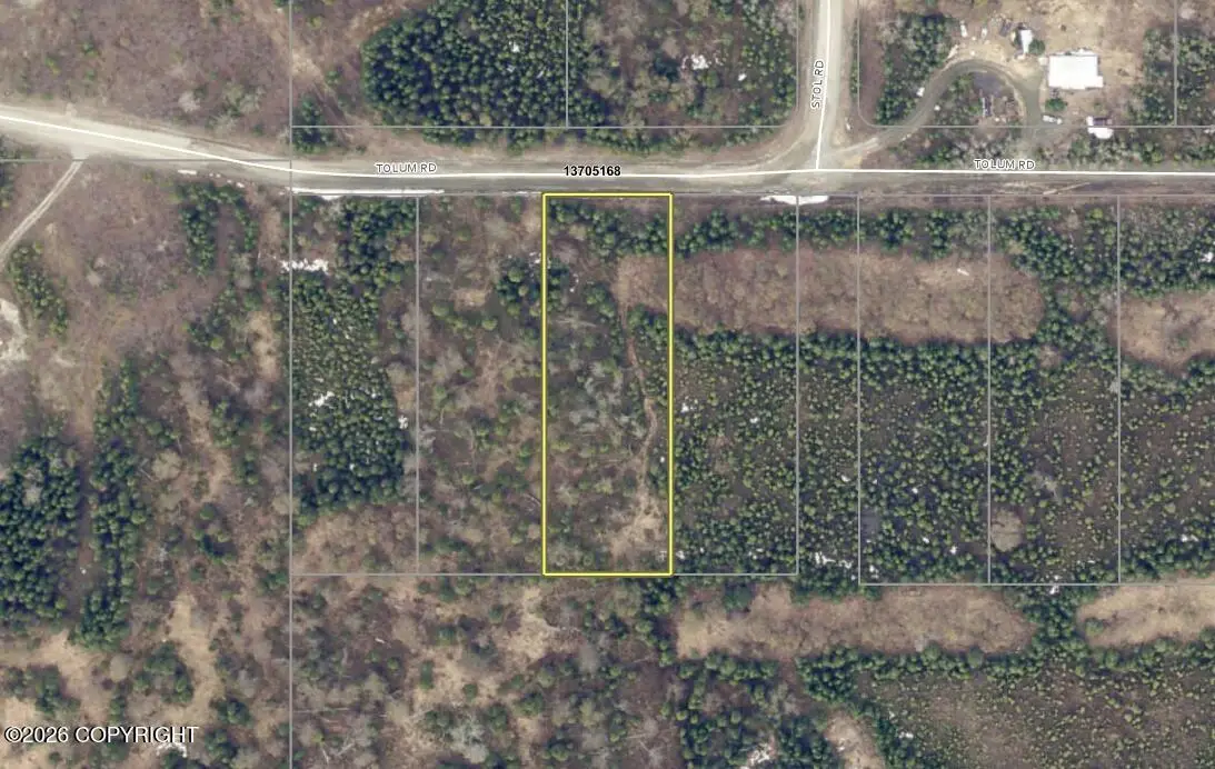 L3 Tolum Road, Kasilof, AK 99610 - #1