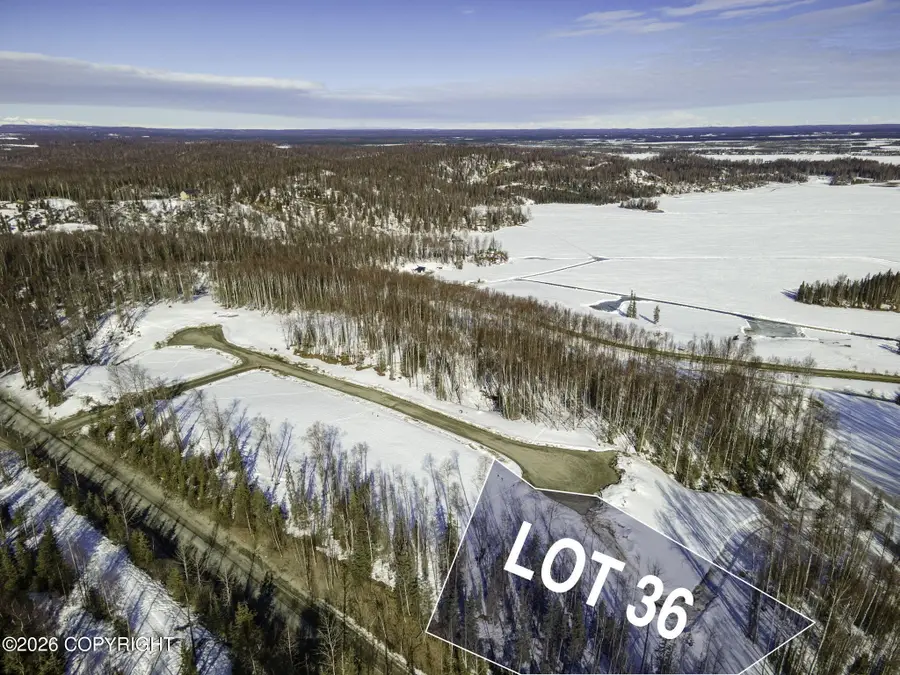 20142 W Kvichak Circle, Big Lake, AK 99652 - #2